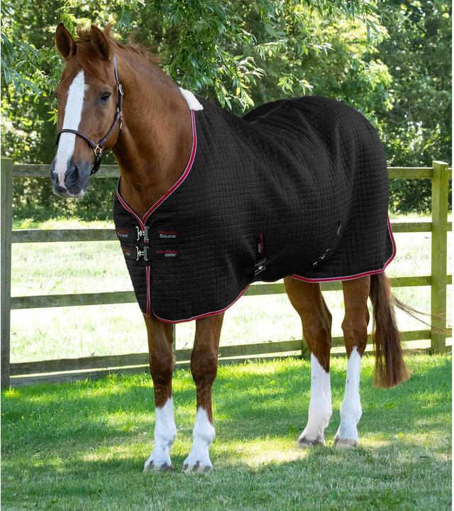 Produktbild Premier Equine Dry-Tech (191 cm)