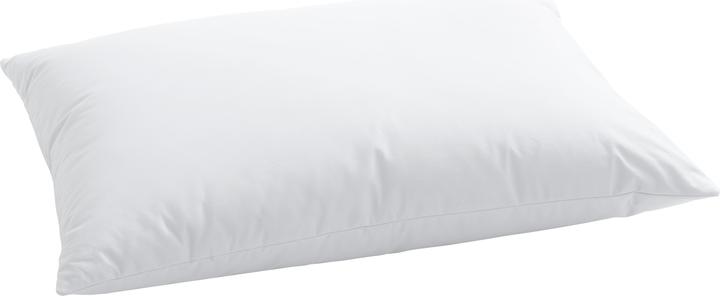 Actual product image Billerbeck Climacontrol (50 x 70 cm)