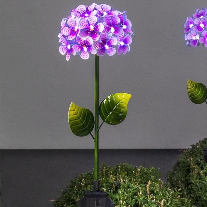 Produktbild Star Trading Hortensia (IP44)