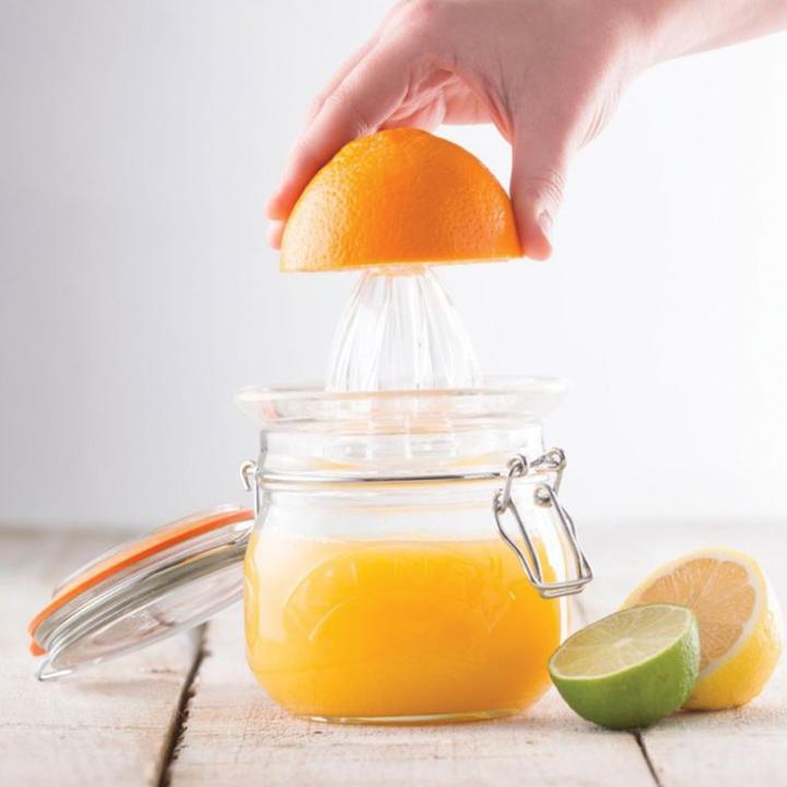 Produktbild Kilner Fruchtpresse