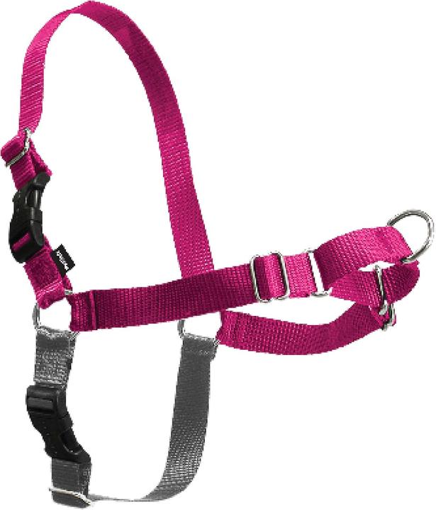 Produktbild PetSafe Easy Walk Geschirr (L, Hund, Spazieren)