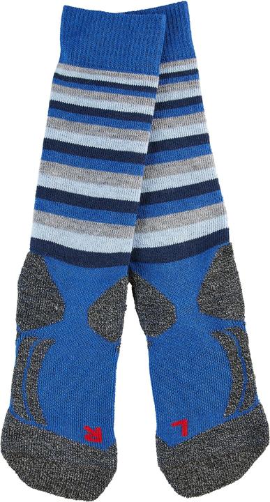 Actual product image Falke SK2 Stripes Kids (24)