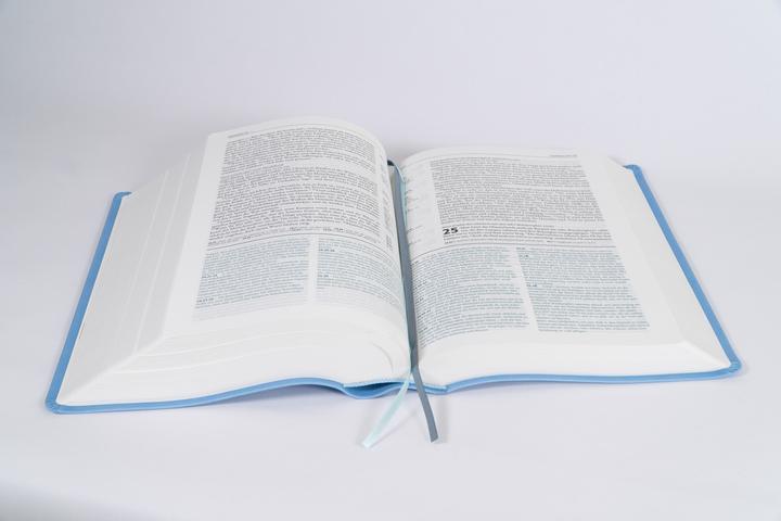 Produktbild Begegnung fürs Leben, Kunstleder (Deutsch, SCM R.Brockhaus, 2025)