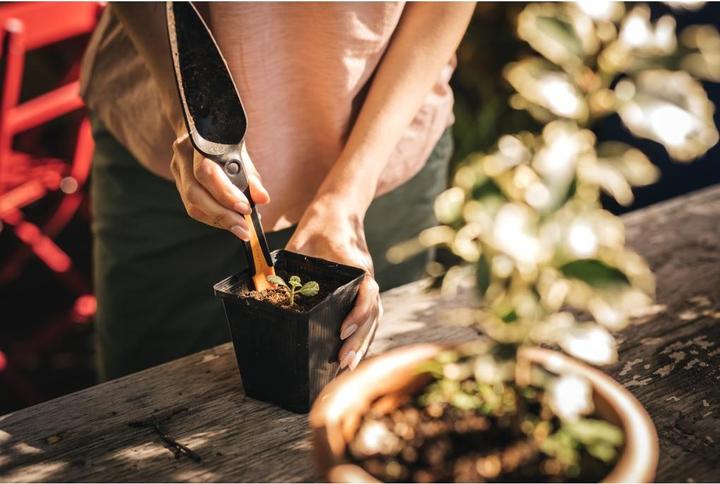 Productafbeelding Fiskars Stevige Zaadplantspaan