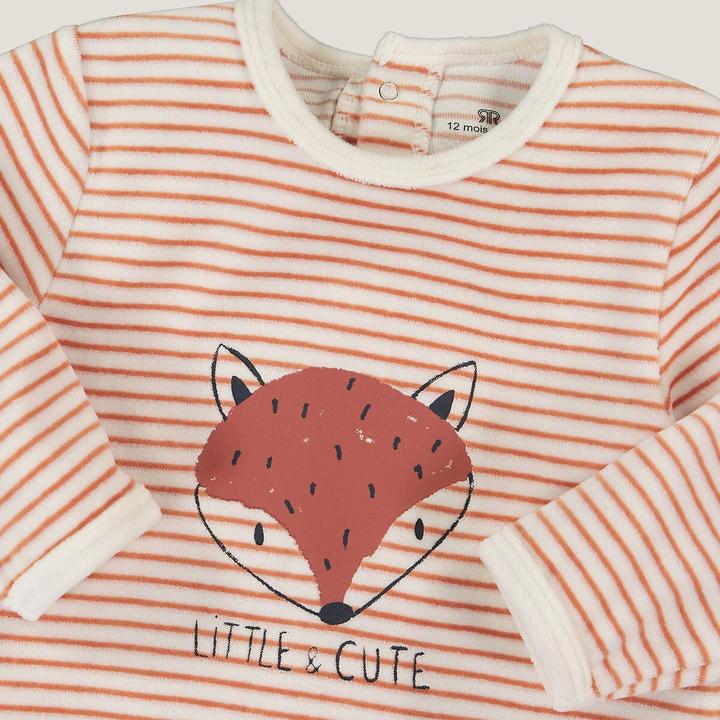 Produktbild La Redoute Collections Pyjama aus Samt mit Streifen und Fuchsmotiv vorne (62)