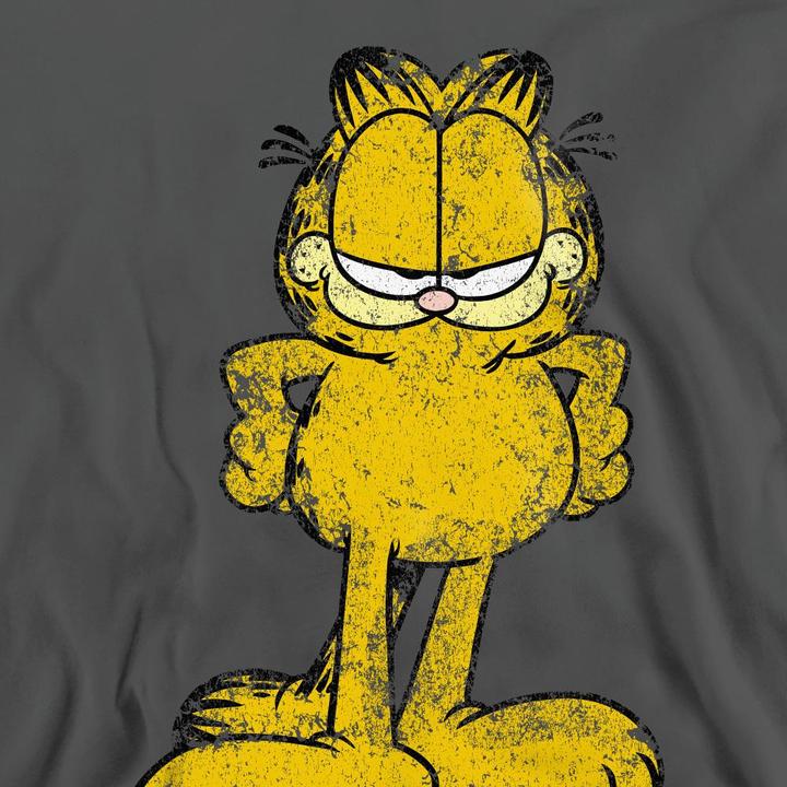 Actual product image Garfield Unisex Adult Big Ol' Cat Sweatshirt (M)