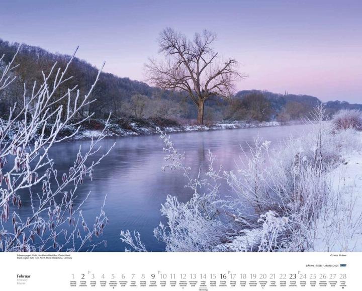 Image du produit Arbres 2025 - Calendrier mural 60x50 cm - Reliure à spirale (50 x 60 cm, Couverture rigide, Allemand)