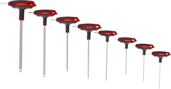 Immagine prodotto Stier Set di giraviti con impugnatura a T esagonali 2 - 10 mm 8 pezzi