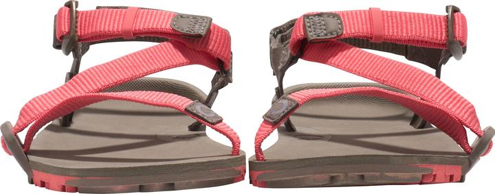 Actual product image Xero Shoes Z-Trail EV (40.5)