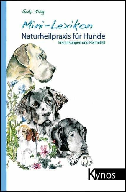 Produktbild Mini-Lexikon Naturheilpraxis für Hunde (Deutsch, Gaby Haag, 2013)
