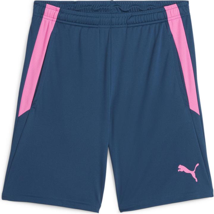 Puma teamLIGA Training Shorts 2 (open pockets) (M)
