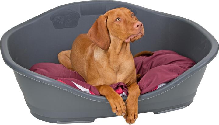 Actual product image Kerbl Sleepers (Dog, Cat)