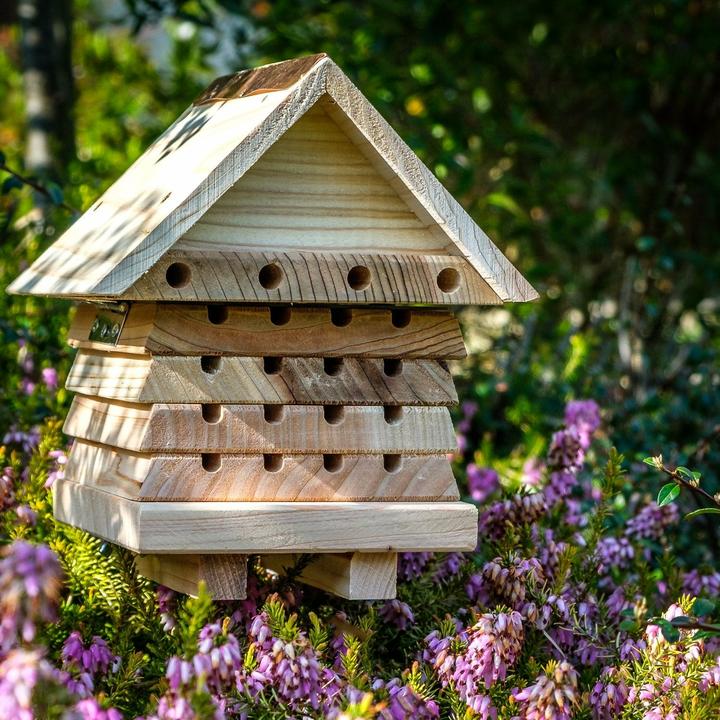 Immagine prodotto Wildlife World Hotel per insetti Hotel per api solitarie, specie animale: insetti (Api)