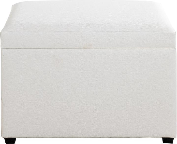 Image du produit HAKU Möbel Coffre-siège (58 cm)