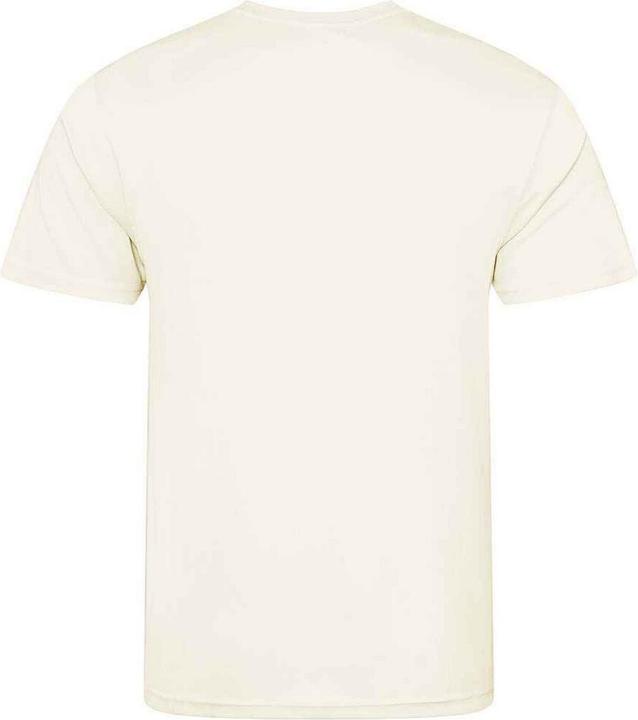 Actual product image Awdis Mens T-Shirt (XL)