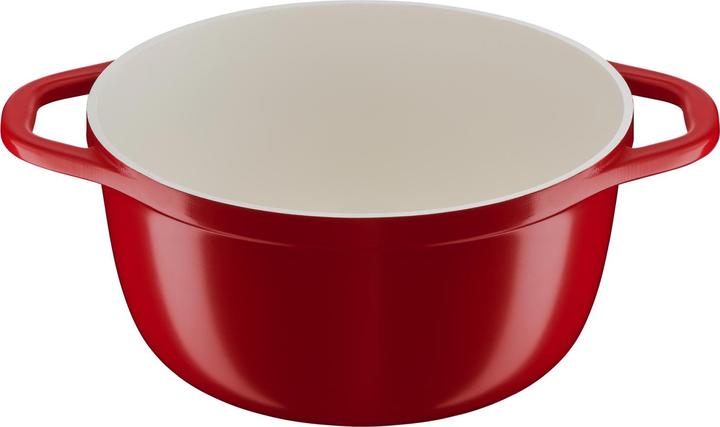 Productafbeelding Tefal E2544604 (24 cm, Steelpan, Gegoten aluminium)