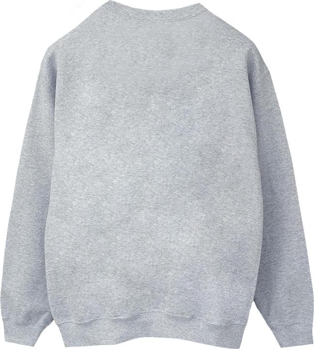 Actual product image Womens/Ladies Spidey And His Amazing Friends Circle Sweatshirt (4XL)