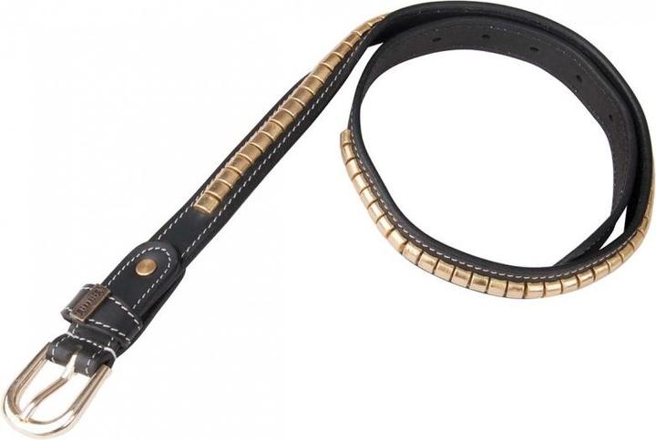 Image du produit TdeT Ceinture clincher (100)