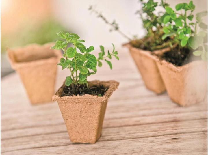 Image du produit Windhager Pots de culture carrés 24pcs.