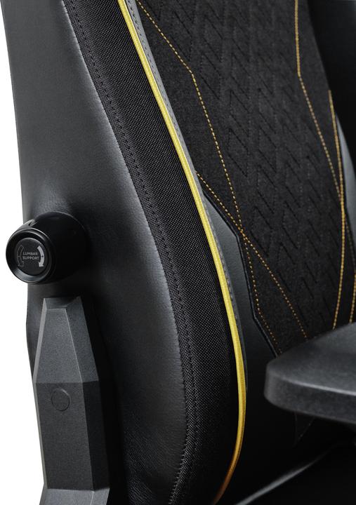 Image du produit Trust GXT 721 Ruya Pro, Siège de jeu universel, 150 kg, 195 cm, Noir, Aluminium, Noir
