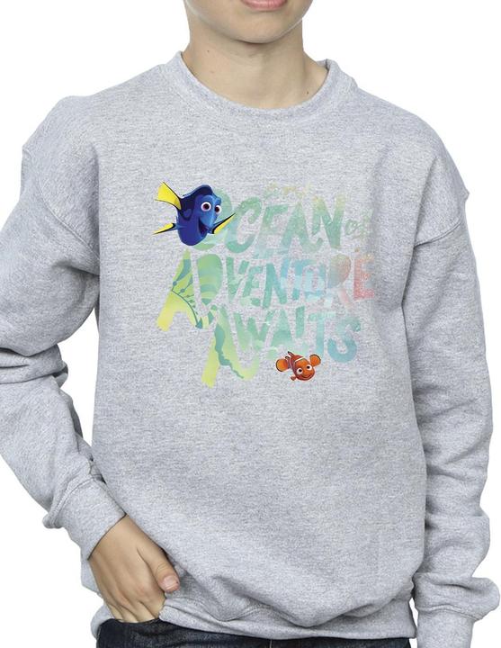 Actual product image Disney Boys Finding Dory Ocean Of Adventure Sweatshirt (152, 158)