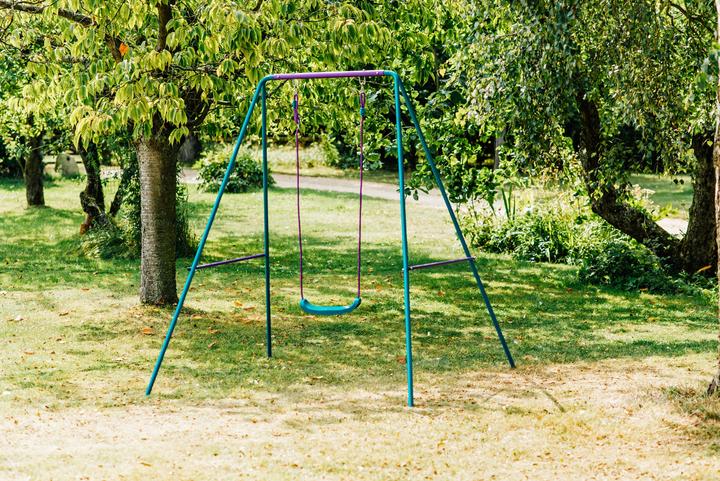 Actual product image Plum Swing Single Swing