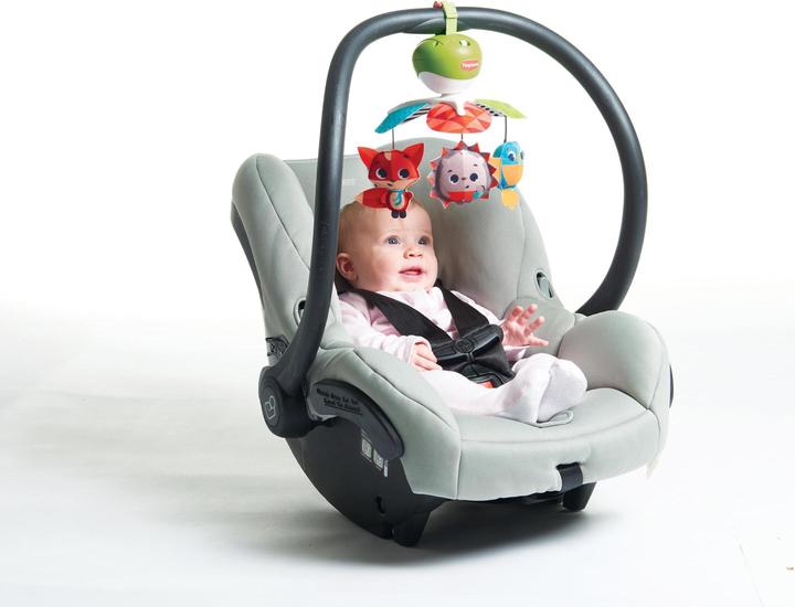 Productafbeelding Tiny Love Take-Along Mobiel - Weidedagen