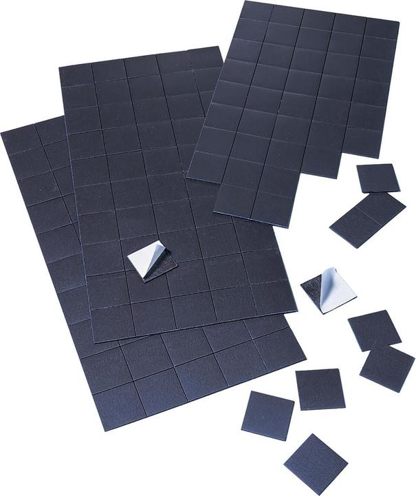 Franken Magnetplatte (50 x)