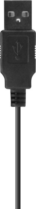 Produktbild Speedlink Webcam Audivis (SL-601810) (2 Mpx)