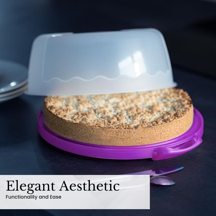 Actual product image Intirilife Cake transport container