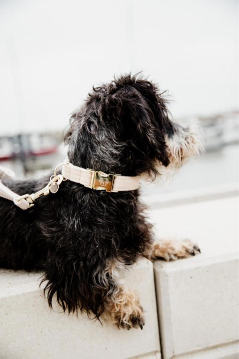 Produktbild Kentucky Dogwear Hundeleine Wool 200 cm (Hund, Hundesport)