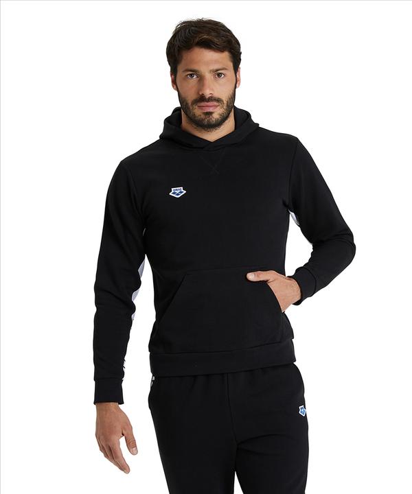 Actual product image Arena Icons Hooded Sweat Solid (XS)