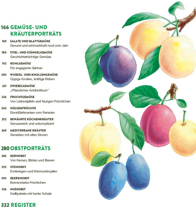 Produktbild Das grosse Gemüse- und Obstgartenbuch (Deutsch, Joachim Mayer, 2025)