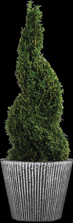 Produktbild Scheurich Purista+ 30, Pflanzgefäss/Pflanzkübel, rund, Farbe: White Line, hergestellt mit recyceltem (29.80 cm)