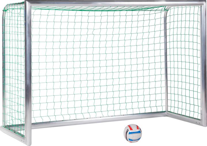 Sport-Thieme Mini-Trainingstor Professional Kompakt, Alu-Naturblank