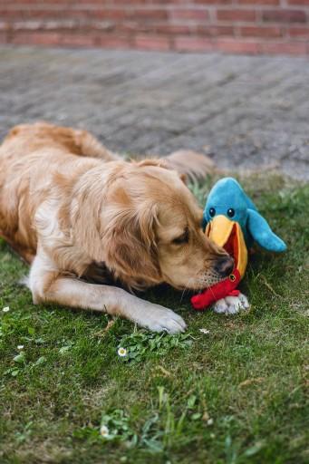 Produktbild Beeztees Bz Plu Hund Spielz Versteck Pe (Plüschspielzeug Hund)