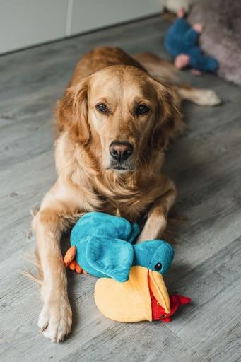 Produktbild Beeztees Bz Plu Hund Spielz Versteck Pe (Plüschspielzeug Hund)