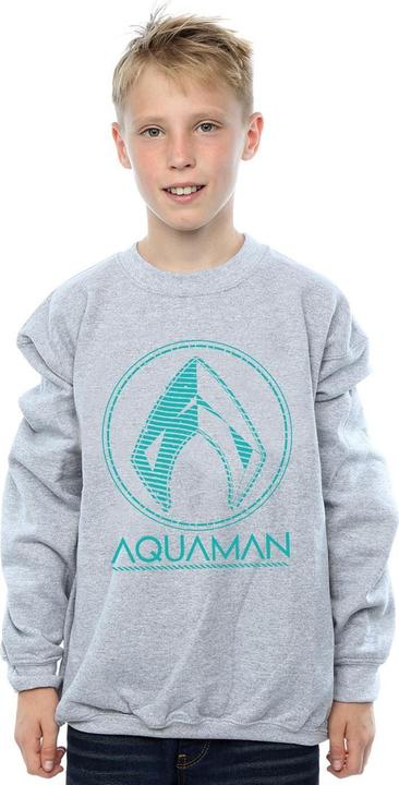 Produktbild Jungen Aquaman Aqua Logo Sweatshirt (152, 158)