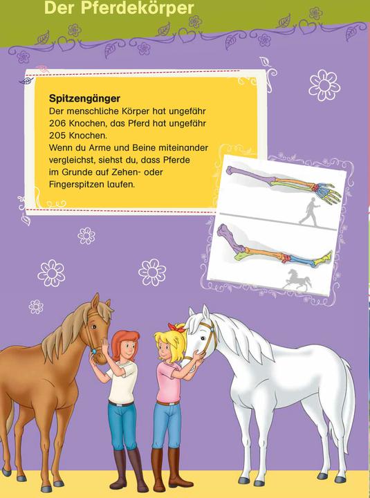 Actual product image Bibi & Tina: Das grosse Pferde-Quizbuch mit Bibi und Tina (German, Klett Learning Training, 2021)