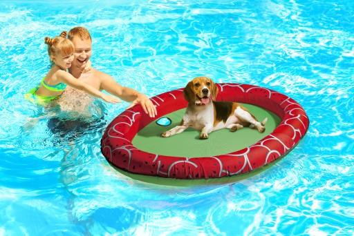 Actual product image Beeztees Bz Floating Air Bed Gody 14 (Dog)