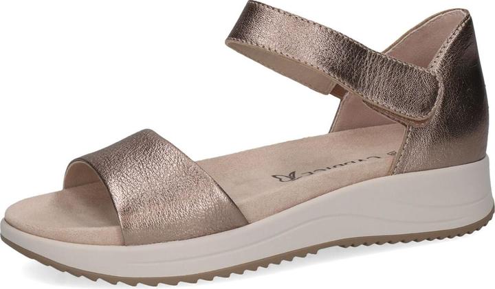 Taupe Metallic 341