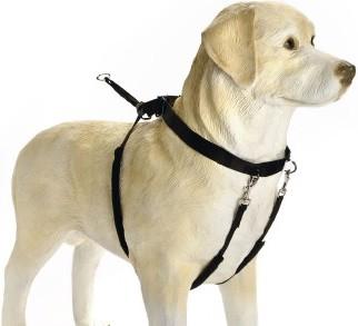 Immagine prodotto Beeztees Bz Gentle Walker Nero X-La (XL, Cane, Generale)