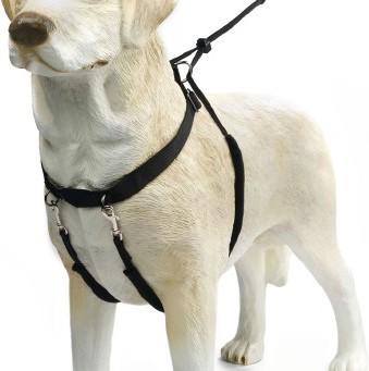 Immagine prodotto Beeztees Bz Gentle Walker Nero X-La (XL, Cane, Generale)