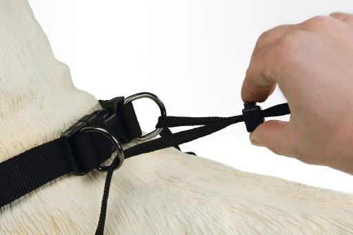 Immagine prodotto Beeztees Bz Gentle Walker Nero X-La (XL, Cane, Generale)