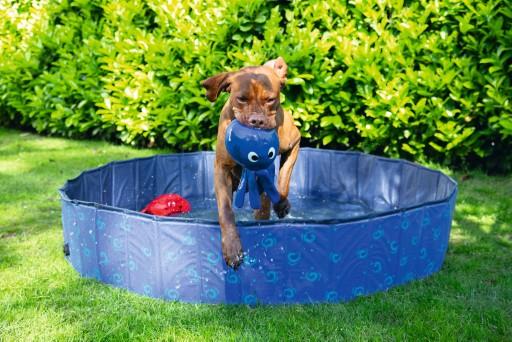 Image du produit Beeztees Piscine pour chiens (Piscine pour chiens)