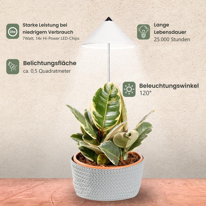 Image du produit Colibri SUNLiTE blanc (LED, 230 V)