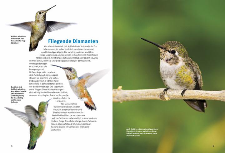 Actual product image Entdecke die Kolibris (German, Leonie Proscurcin, 2016)