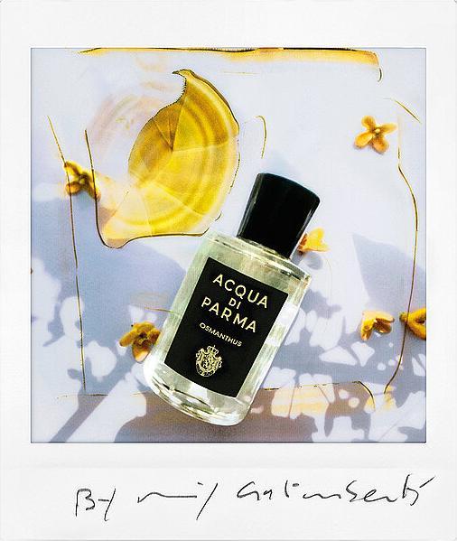 Actual product image Acqua Di Parma Osmanthus Eau de Parfum (Eau de parfum, 180 ml)