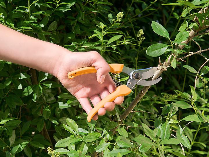 Actual product image Royal Gardineer Bypass garden shears with high quality carbon steel blades