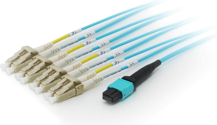 Immagine prodotto equip Cavo di toppa della fibra del tronco MTP/LC OM4 M/M (CAT8.1, 10 m)